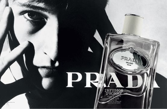 PRADA Infusion d'Homme | Alexandre Taleb